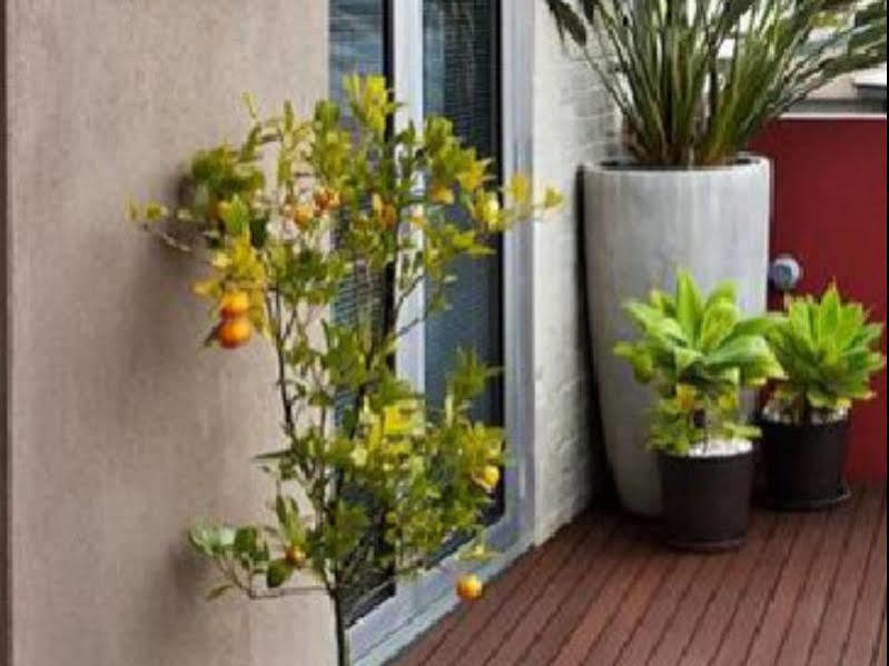 Twofourtwo Boutique Apartments Launceston Exteriér fotografie